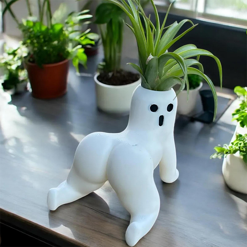 Echeveria Succulent - Engraçado grande espólio fantasma plantador grande