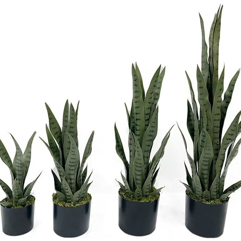 Planta Artificial Sansevieria  - Ficus Lyrata Tree avaliação e preço