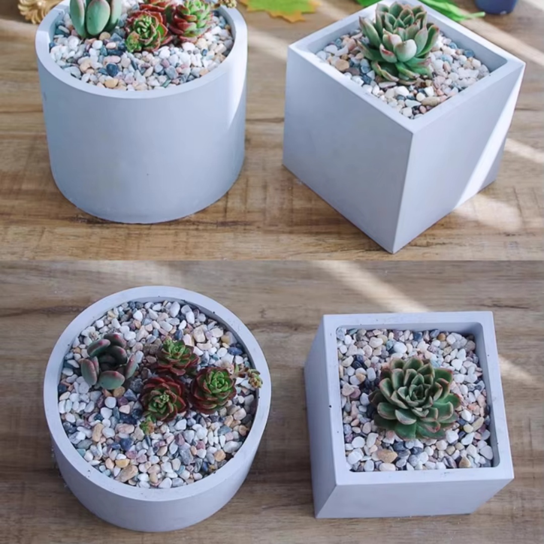 Molde de Silicone Redondo Gran - Echeveria Succulent avaliação e preço