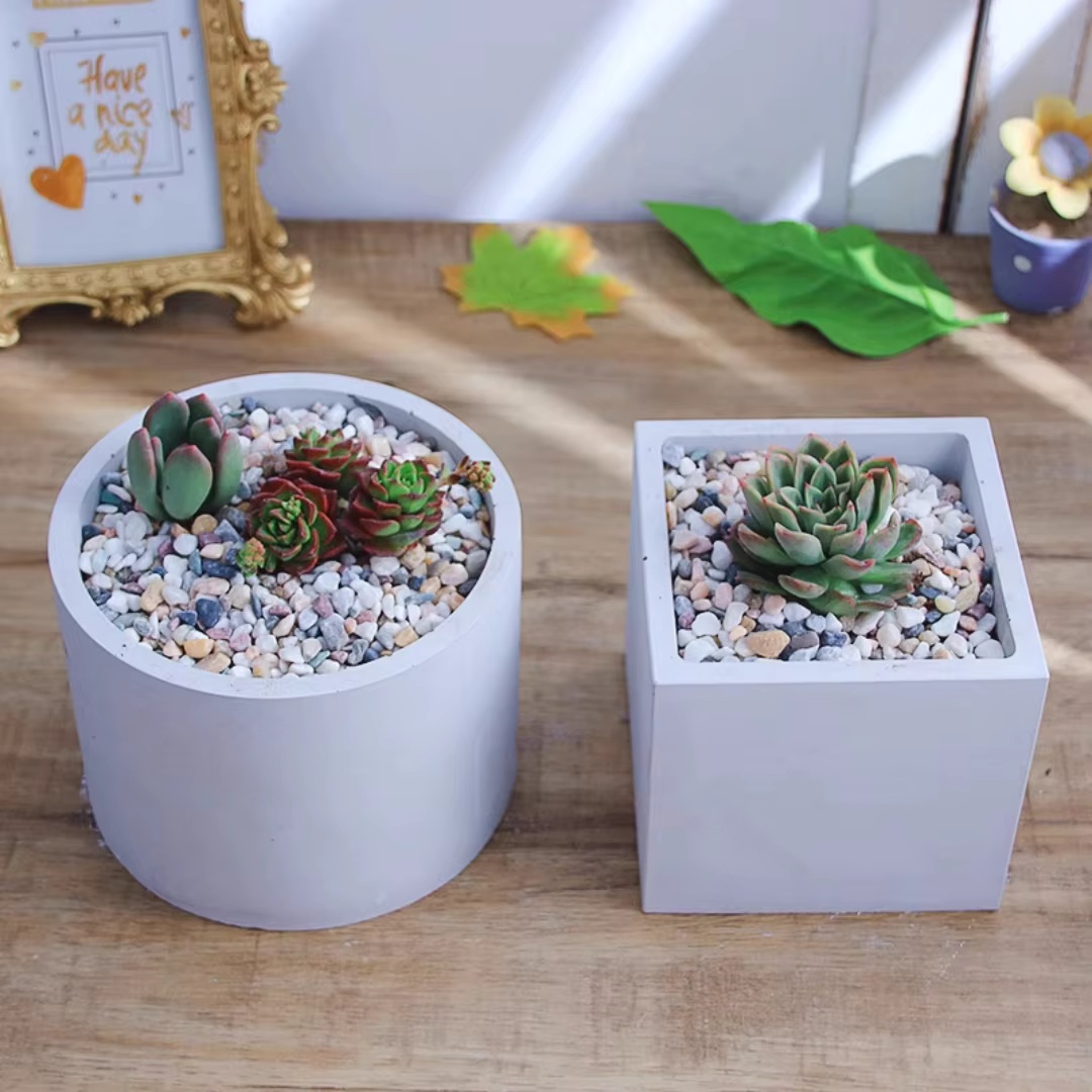 Molde de Silicone Redondo Gran - Echeveria Succulent avaliação e preço
