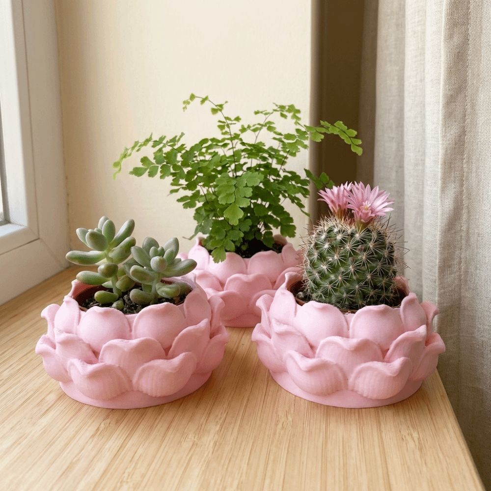 Vaso de Plástico 3D em Formato - Echeveria Succulent avaliação e preço